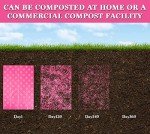 Biodegradable Dog Waste Bags with Holder - 240 Count