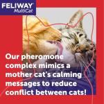 FELIWAY MultiCat Calming Pheromone Diffuser Kit