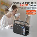 Portable Bluetooth AM/FM Radio with Headphone Jack
