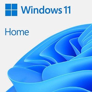 Windows 11 Home System Builder Software by Microsoft