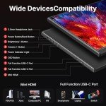 15.6-Inch Portable 1080P HDMI USB-C Monitor