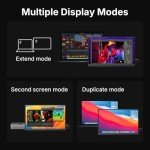 15.6-Inch Portable 1080P HDMI USB-C Monitor