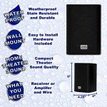 Goldwood AA351B High-Performance Indoor Outdoor Speakers