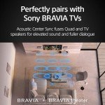Sony BRAVIA 16-Speaker Wireless Home Theater System