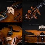 Adult 4/4 Full Size Violin Kit for Beginners
