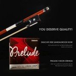 Adult 4/4 Full Size Violin Kit for Beginners