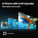 Hisense 100" QD6 Series 4K QLED Smart TV