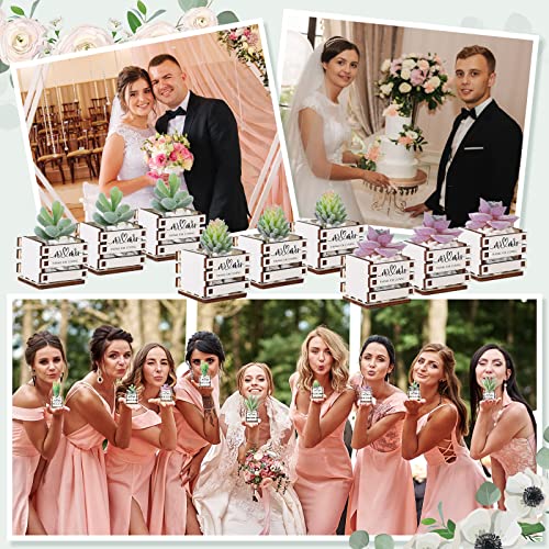 50 Mini Succulent Pots for Wedding Decor