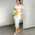 Chic Lace Tea-Length Wedding Dress with Sleeves