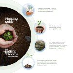 24 Pink Heart Plantable Seed Paper Set