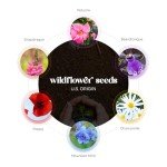 24 Pink Heart Plantable Seed Paper Set