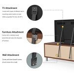 Safety 1st TV and Furniture Straps - Black