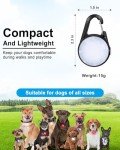 Rechargeable LED Dog Collar Lights, 2 Pack