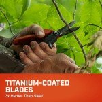 Heavy Duty Titanium Utility Shears for Cutting