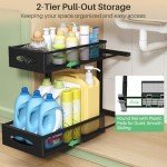 2-Tier Pull-Out Under Sink Organizer Baskets