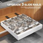 Expandable Pull Out Cabinet Organizer - 2 Pack