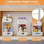 Under Sink Organizer Set, 2 Sliding Shelves