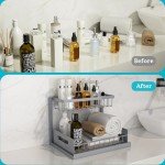 Under Sink Organizer, 2-Tier Pull-Out Shelves