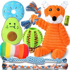 Interactive Dog Chew Toy Set in Blue and Green