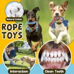 Interactive Dog Chew Toy Set in Blue and Green