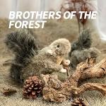 Classic Squirrel Pet Toys for Small Dogs