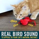 Interactive Cat Toy with Realistic Flying Birds