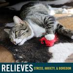 Interactive Cat Toy with Realistic Flying Birds