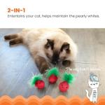Catstages Cat Dental Catnip Mesh Toy Set
