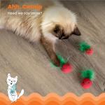 Catstages Cat Dental Catnip Mesh Toy Set