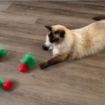Catstages Cat Dental Catnip Mesh Toy Set
