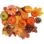 Thanksgiving Mini Pumpkins and Fall Decor Set