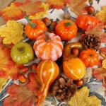 Thanksgiving Mini Pumpkins and Fall Decor Set