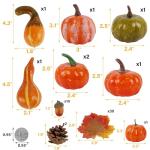 Thanksgiving Mini Pumpkins and Fall Decor Set