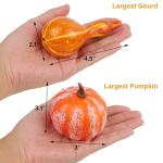 Thanksgiving Mini Pumpkins and Fall Decor Set