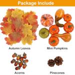 Thanksgiving Mini Pumpkins and Fall Decor Set