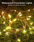 Battery Operated 60 LED Fairy String Lights