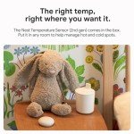 Bismuth Smart Home Lighting Solution