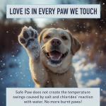 Dog-Friendly Ice Melt Safe for Your Home