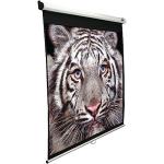 100" Manual Pull Down Projector Screen - 4K Ready
