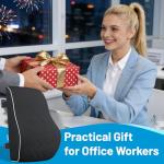 Lumbar Support Pillow for Office Chair,Office Home, College Dorm Room Essentials,Back Support Pillow for Car, Chair Cushions,Back Pain Relief Improve Posture,Mesh Cover Double Adjustable Straps