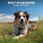 Classic Squirrel Pet Toys for Small Dogs