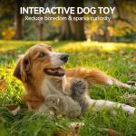 Classic Squirrel Pet Toys for Small Dogs