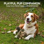 Classic Squirrel Pet Toys for Small Dogs