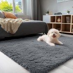 OLANLY Soft Shag Area Rug, 4x5.9 Feet