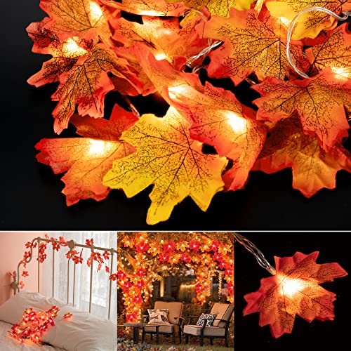muscccm String Lights Maple Leaf Light Twinkle Hanging Lighting Decorations for Indoor Outdoor Garden Halloween Thanksgiving Christmas Party Décor Gradient Color(20 Lights)