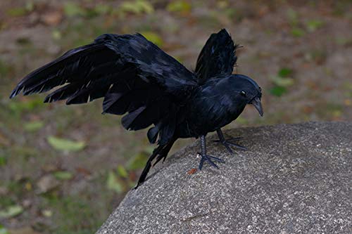 CHICHIC Realistic Crow, 3 Pack Large Halloween Black Feathered Crow Decoys Ravens Outdoor Halloween Decorations Props Décor, Standing Flying Birds for Tree Haunted House Graveyard Tombstone Display