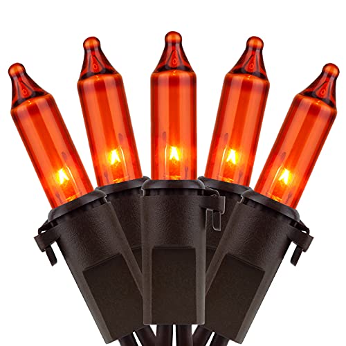 YULETIME Orange Christmas Lights with Brown Wire, 66 Feet 200 Count UL Certified String Lights, Pack of 2 Sets 33 Ft 100 Count Amber Incandescent Mini Light Set (Orange)