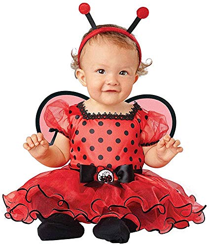 Seasons Infant Baby Girls Ladybug Dress with Tutu Skirt Halloween Costume (12-18 Months) Red Black