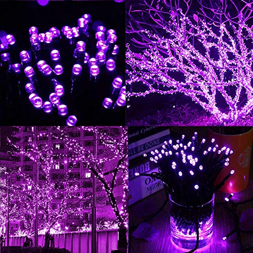 WATERGLIDE 300 LED Purple Halloween String Lights, 98.5FT 8 Lighting Modes Light, Plug in String Waterproof Mini Fairy Lights for Outdoor Holiday Christmas Wedding Party Bedroom Decorations