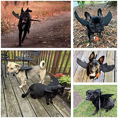 Bowtus Halloween Dog Bat Wings Pet Costume with Pumpkin Bells for Halloween Party Decorations, Cute Puppy Dog and Cat Collar Bat Wings Cosplay Party Dress Up Funny Cool Appare(Large)